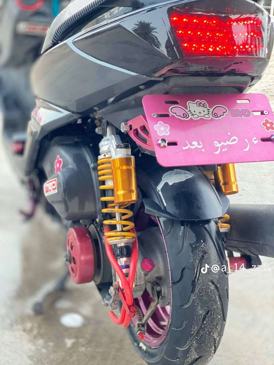 سكنس فحل • فول تزويد • نضيفه