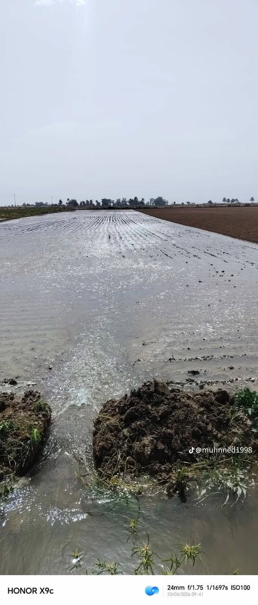 تعديل بالليزر • شرط التصفير • بابل المسيب