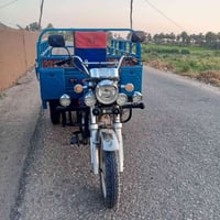 ستوته شينوك • موديل ٢٠٢٦ • أوراق كاملة