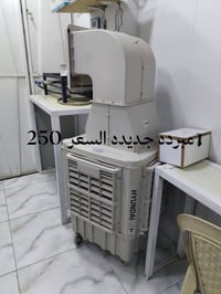 كربلاء • حي العامل • نظيفة