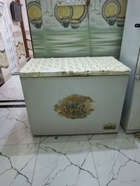 مجمدة رويال • نضيفة • حي الجامعه