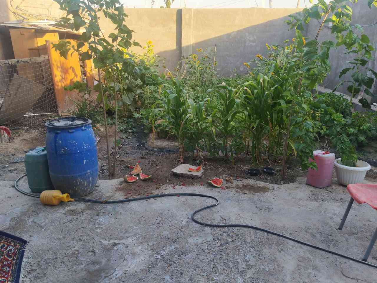عندي بيت ٣٥٠ مساحتة وسعره ٤٧ بتقاطع النهروان قريب عل الشارع العام يم مطعم الجوهرة ***********
