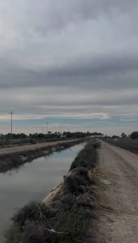 🌾دوانم طابو زراعي سند 25 للبيع   📍 الموقع: التاجي – زملة حمدي– قرب الش...