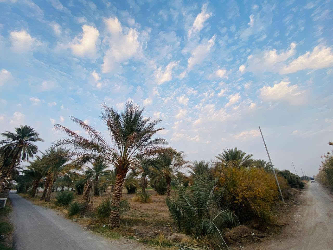 السلام عليكم 3 دونم طابو زراعي سند 25 ; طابو الكاظميه .
واجهه الدونم 27 تباع تقطيع او كليا حسب رغبه المشتري
الارض مزروعه وكامله بيهه 50 نخله وبيهه 20 زيتونه 
شارع تبليط - ماء - كهرباء - ماء سقي  
تبعد عن الكاظميه 15 دقيقه موقع الارض التاجي سبع البور -
- البصام -
*********** بي واتساب #
