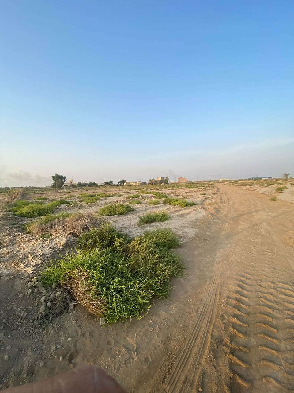 قطعة أرض زراعية • سند ٢٥ • ٧ دونم