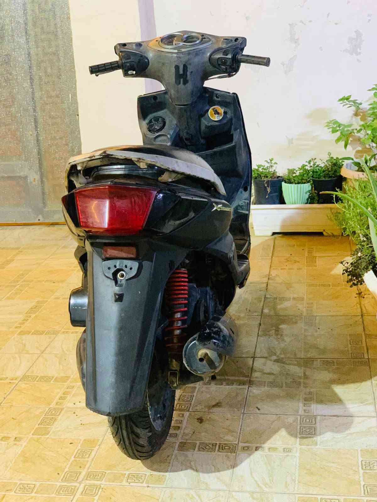 سكنس فحل • ياباني • سلف وهندر