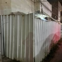 سياج جينكو • ١٠ قطع • عرض ٩٫٥م