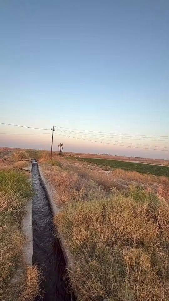٤ دوانم • طابو زراعي • تاجي سبع البور