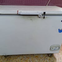 مجمدة • استعمال قليل • حجم كبير