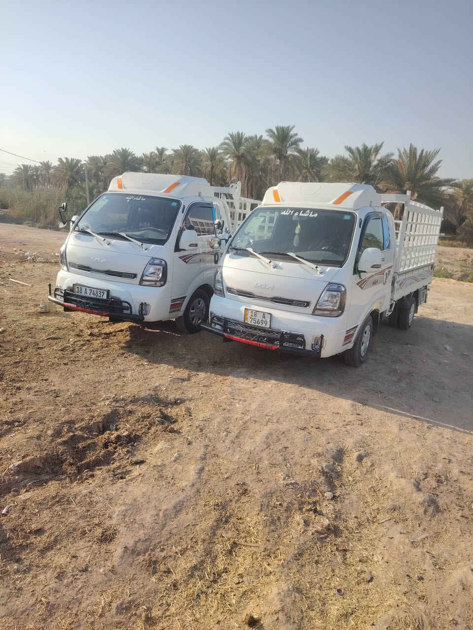 كيه حمل للبيع ***********
