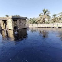 تزفيت سطوح • وايزكام • ماستك