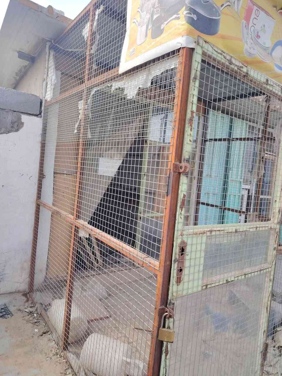قفص باب • بس صبغ • كربلاء حي العامل