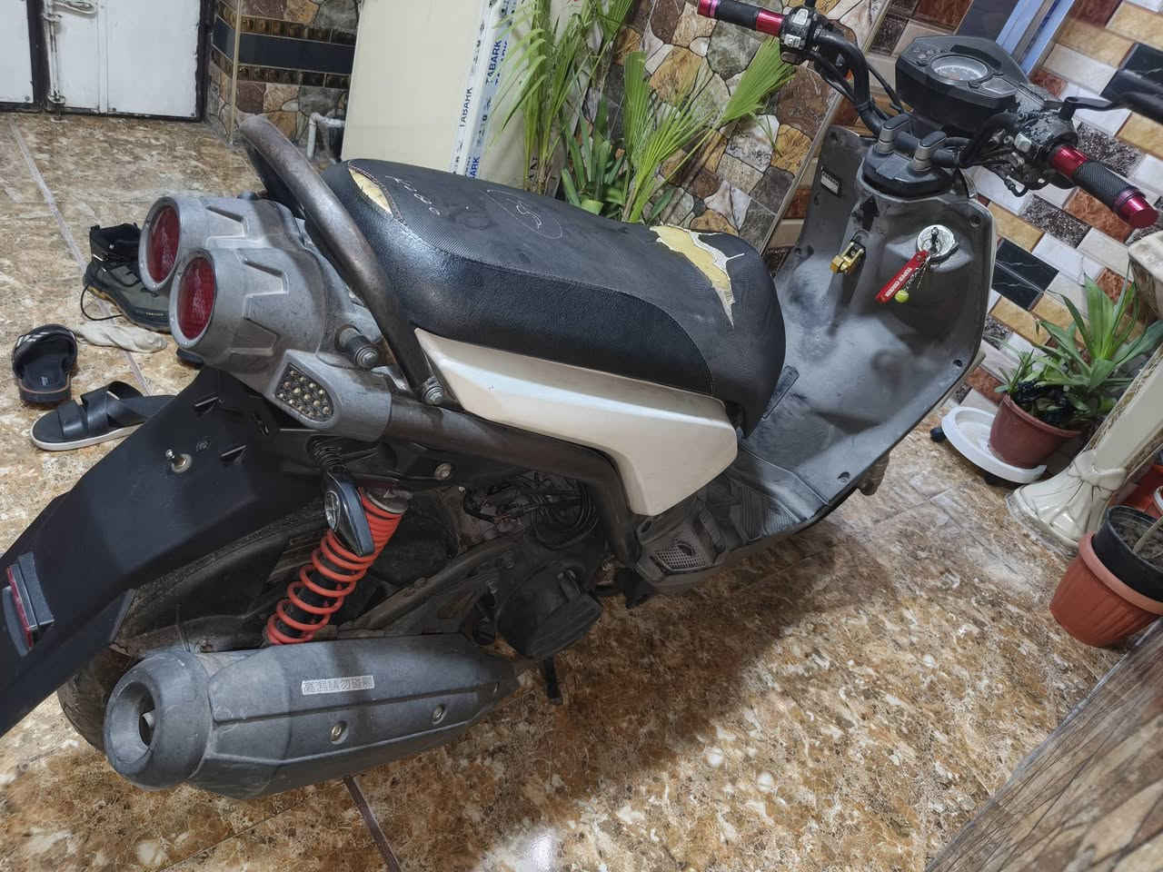 سلام عليكم.. 

سكنس جبلي للبيع دراجة مكفولة كفالة عامة برغي ما مفتوح بيه
جيب فيتر وافحص.. 

سعر.. مليون ٤٠٠ وبيه مجال حك جية 

عنوان . مدينة الصدر قطاع ٥٢ .. ***********
