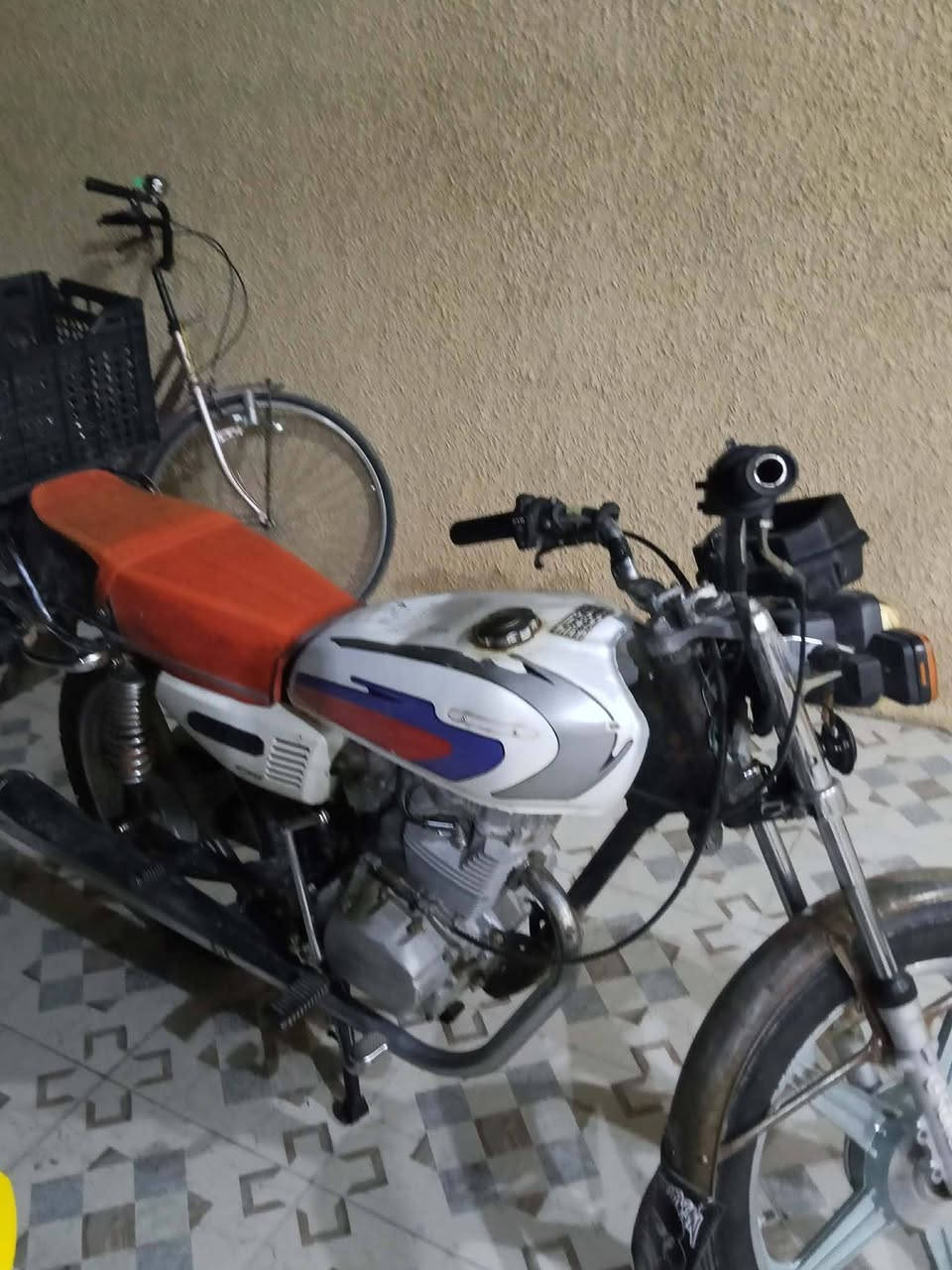 جني • بدون اوراق • دخانة