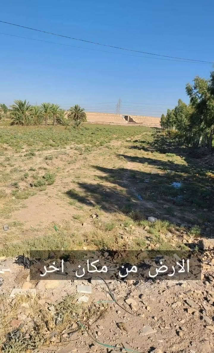 دونم زراعي للبيع
2500 متر مربع
ابوغريب الشيحة على خط السريع مباشر

السعر جداً مناسب 40 مليون فقط 

***********

.
.

نص مكتوب في الصور:
- تحيطها مزرعة
- طريق الارض يبعد عن الجسر المبلط 50 متر فقط
- الارض من مكان اخر