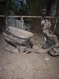 فراشه • كابريتا • اصلي بلادي