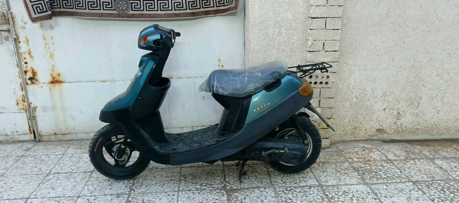 بطة • صوت اكسن • معدل