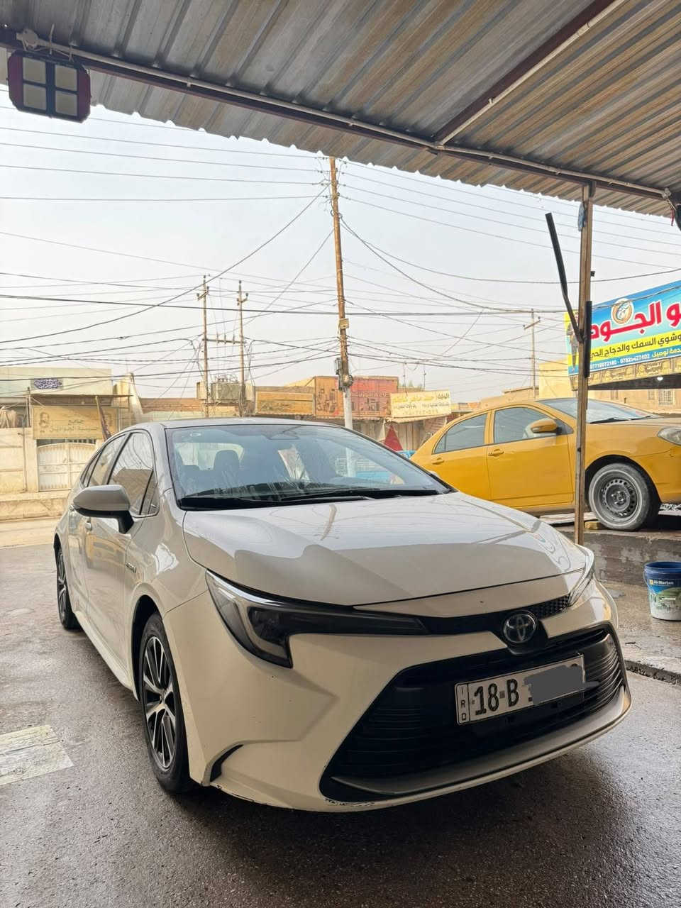 كورلا هايبرد • ٢٠٢٤ • كفاله صبغ