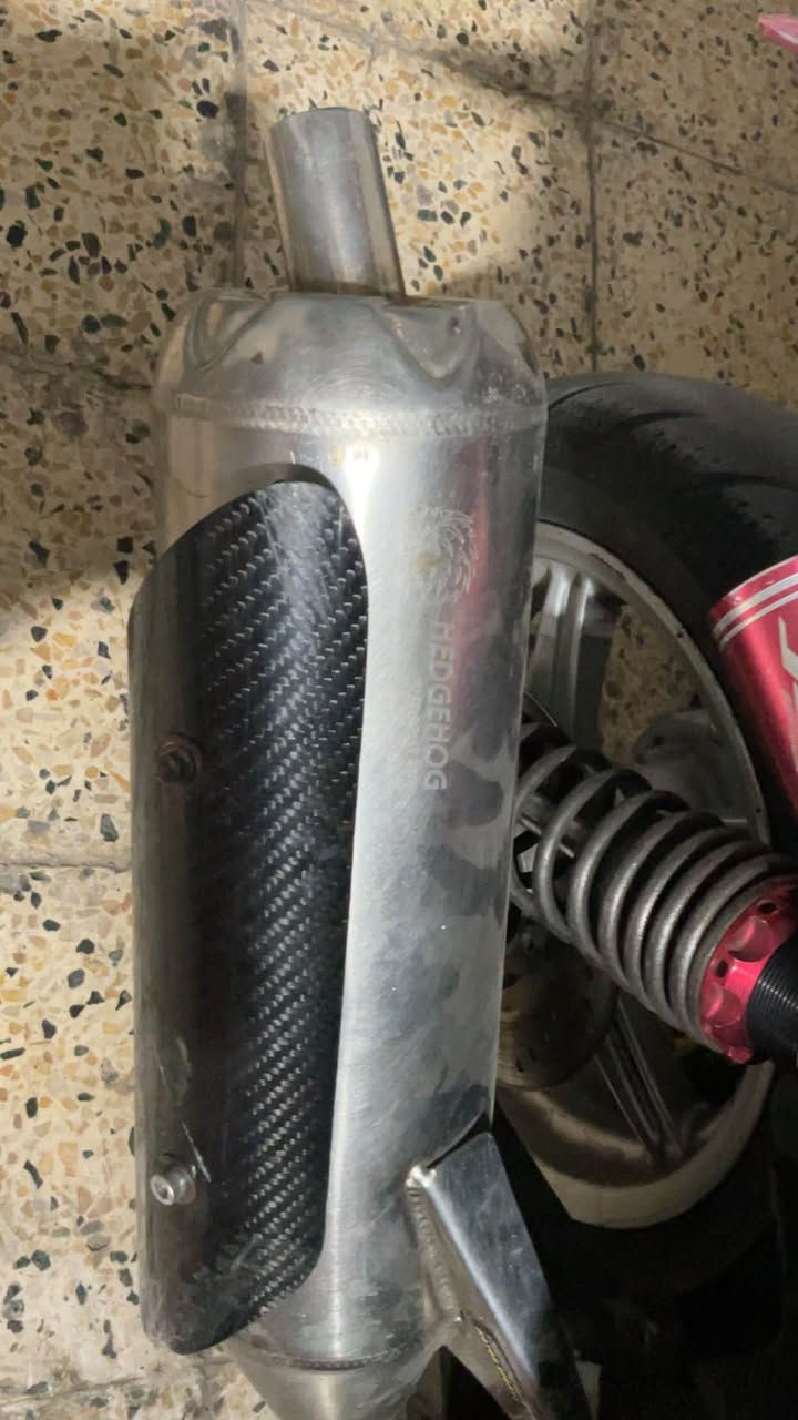 (ادمن وافق 🤍) سلام عليكم صالنصه بوري عدل دبل بوشه اصليه تخبل صوتها وزه و جعره مفوله انطيكياها عل شد اني اشدها الك عجبك صوتها تاخذها ما عجبك تعوفها  تنشد فحل و لد طبيعي كعده بلاديه وشمعه و جبلي تك برغي ما عليه شي تكعد كعده مرتبه نوعها (HEDGHOG ) اصليه
مكاني بغداد حي القاهره *********** واتساب فقط و خاص
