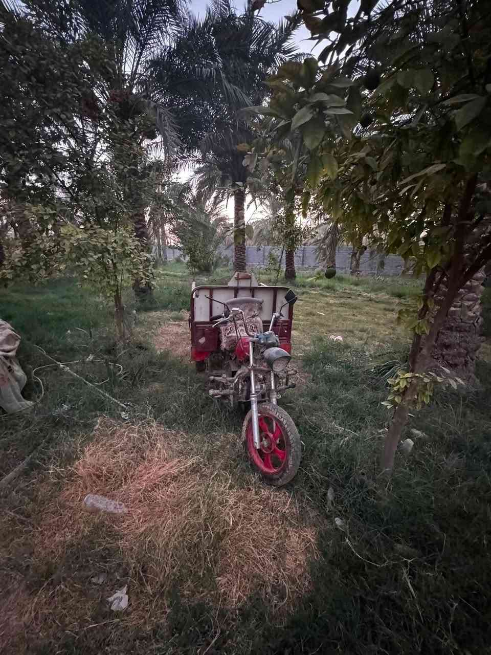 السلام عليكم ستوته البيع ستوته نضيفه بس متروكه شغله كلشي مابيه  (الستوته سنويه موجوده مالته)السعر 800الاتصال /***********
