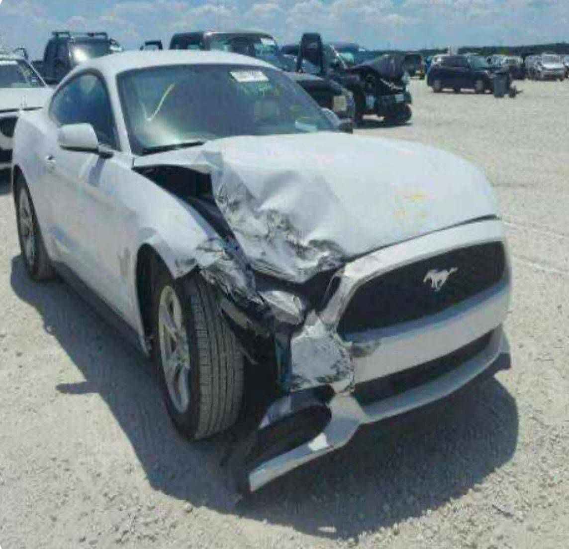 Mustang V6 2017 موستنك
سيارة( بدون صيغ )
موستنك ستة سلندر ٢٠١٧ ممشاهة ١٢٧ mi
عليهة دبات ht power تحكم ريمونت
عليها شوتة رياضي + بلادية
عليها سبيسر امامي اصلي ٢٥ ملم
عليها ولف حماوة ريستك موشيموتو + ولف بلادي موجود 
عليها برمجة من كراج 4brothers
ويالة ١٩ اصلية تو سايز + تايرات قبل فترة شادهن
مازدات بلاك ومنضومة زنون وعيون حمر جديدة
 اضافة كشافات اسفل دعامية 
عليها سستم كابرون داخلي ومري ويدات
دفيوزر خلفي وسبويلر
بولش وحمام 
ادامة كاملة لمنضومة احتراق ولماء جديد 
حادثهة امريكا كلش بسيط مرفق بلصور جاملغ سكن شبر بسيط وتحديث بنيد GT وصارت عندي طخة بسيطة جاملغ سايق وبدلتة اصلي نفس لون
رقم شمالي دهوك باسمي شرط تاخذ تحويل
سنوية لل٢٠٣٠ 
 مكانها بغداد الدورة 
***********
***********
