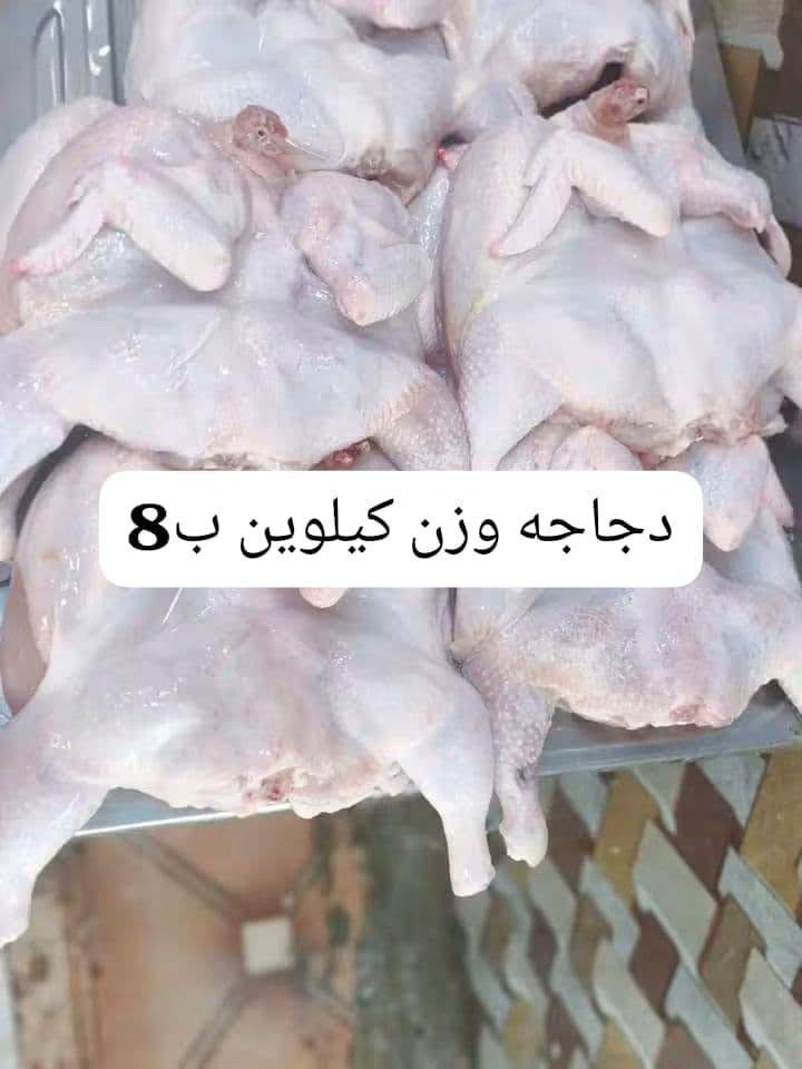 كباب مشكل • صدور وأفخاذ • توصيل متوفر