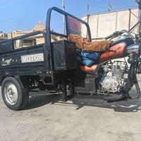 تستوته • مديل 23 • رقم سنويه