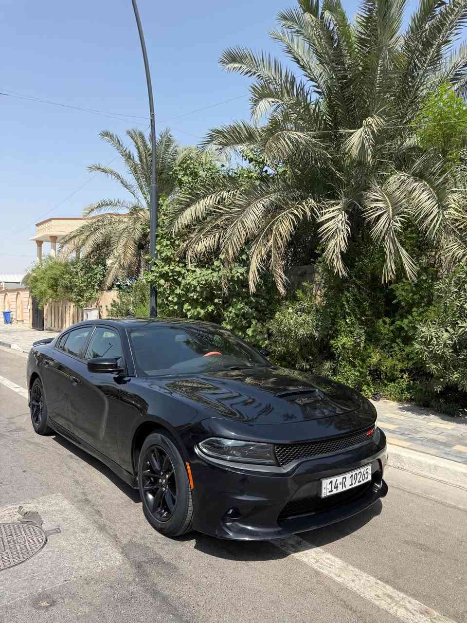 سلام عيكم للبيع جارجر GT مديل 2023 تحويل مباشر سياره جديده ضربتها مدكر ولبند تقسم فقط امامي فقط مكينه وكير حداده تبريد شرط ماشيه 50 الف GT فول ماعده الفتحه العنون البصره معقل السعر 205 رقم الهاتف *********** البصرة, العراق
