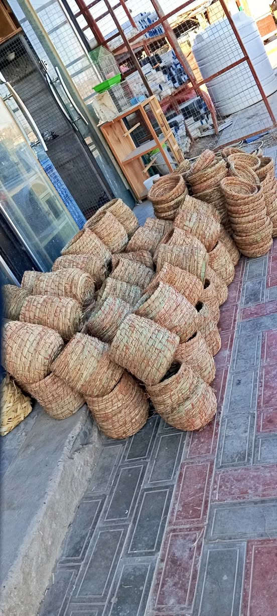 جمله ومفرد طوريج الرجيبه ***********
