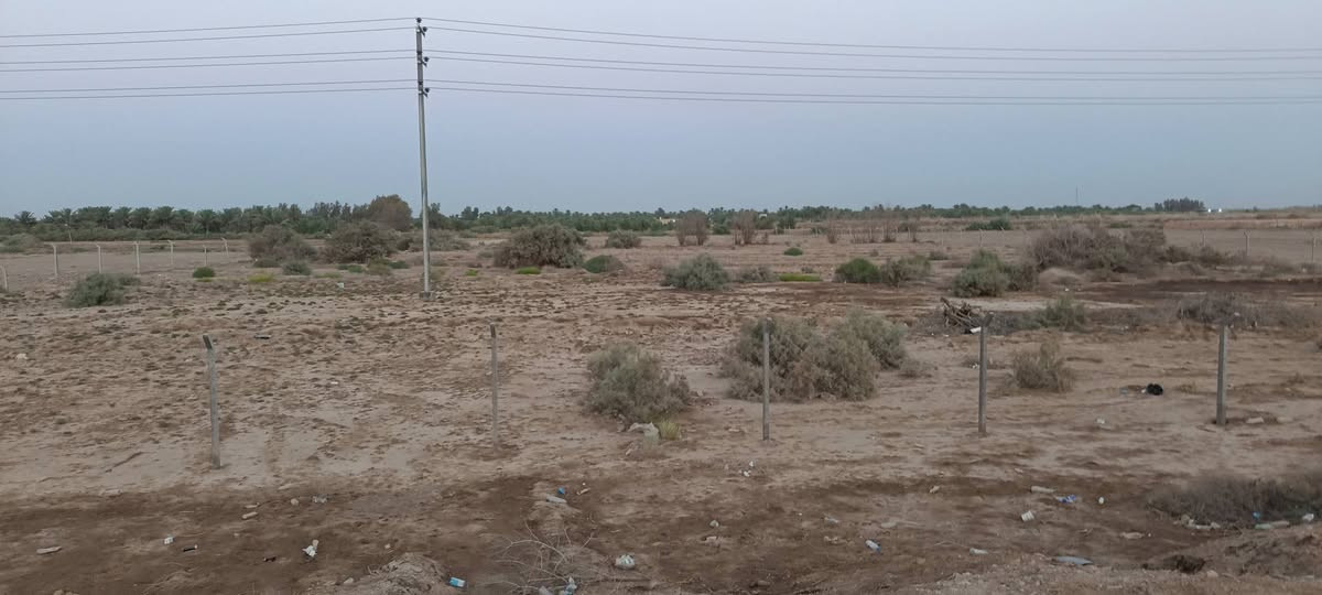 السلام عليكم 
أرض زراعية للبيع طابو سند 25 مساحه 6 دونم ونص على طريق الشوملي دغاره على شارع العام مباشر للاستفسار ***********
