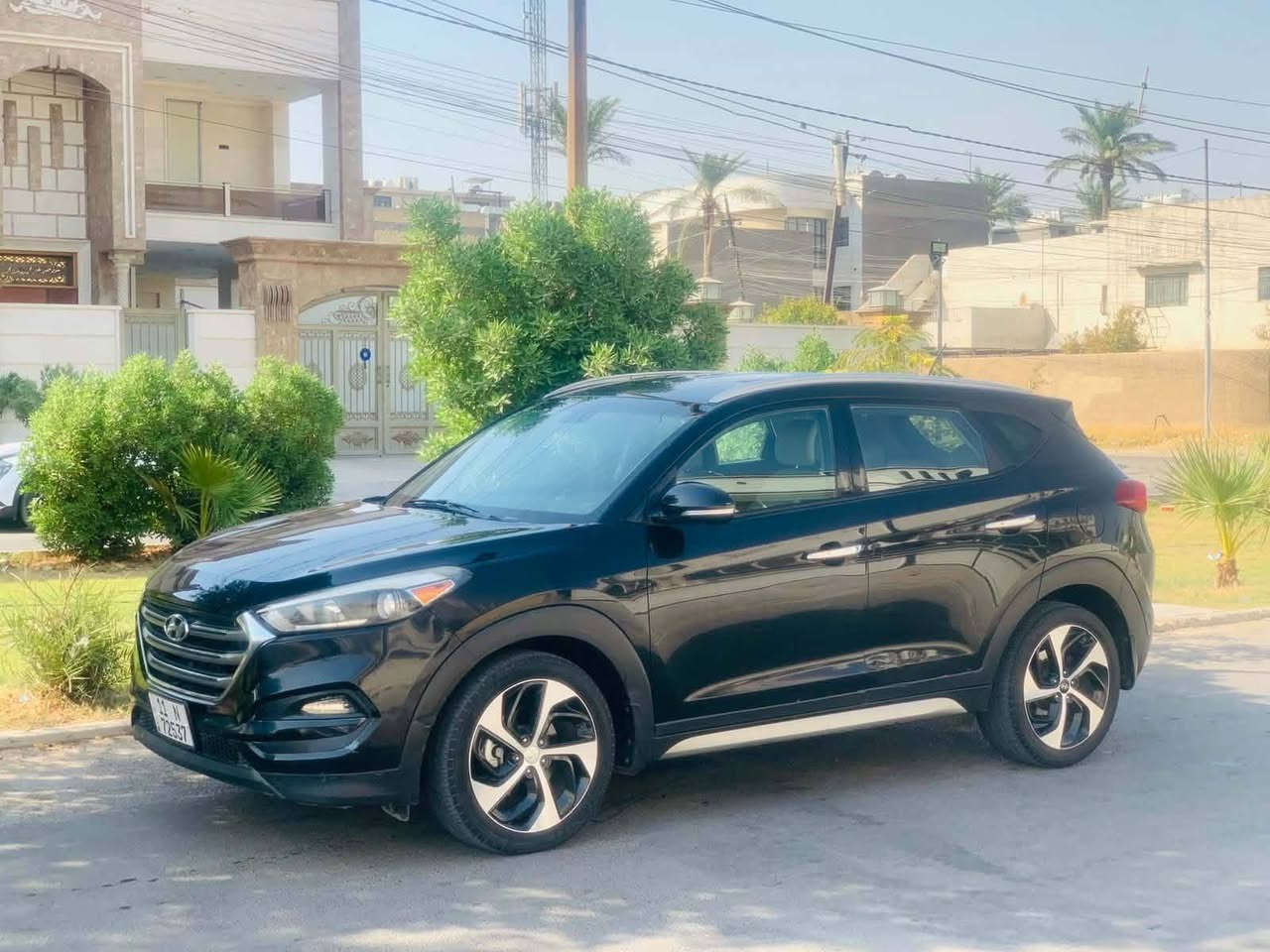 توسان • ٢٠١٧ • وارد امريكي
