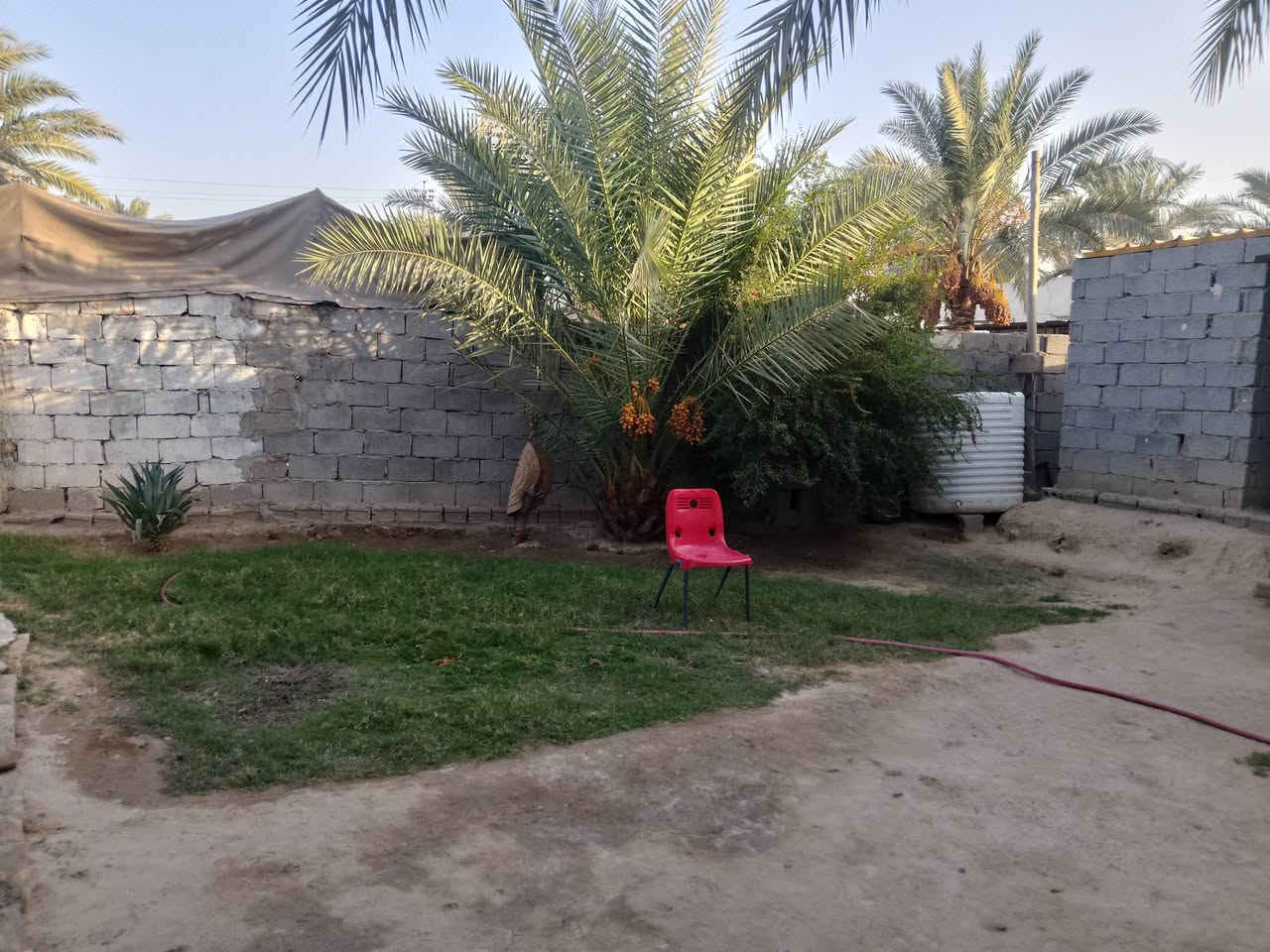 قطعه ارض 
مساحة 1400 متر مربع
تحتوي على ثلاث منازل تحت المتوسط
نوع العقار 35 عقد مكاتبه
عن شارع العام طريق نجف كربلا 500 متر 
عن الامام الحسين ع 12 كيلو
سعر مناسب جدا 
ممكن تحويله لحسينيات 
وتساب***********

نص مكتوب في الصور:
- ابحث عن محطات وقود ... المطاعم الفنادق المقاهي التسوق موكب سفير الحسين اهالی البصرة حسين البصر طريق يا حسين طريق كربلاء Google Maps محليات استكشاف محفوظاتك مساهمة ٣٢° 44° ٠٣٦