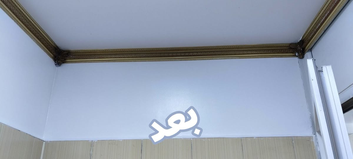 دقة بالعمل • صبغ مطبخ وحمام • أبو علي