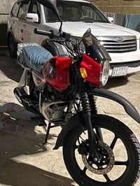 بوكسر • جبلي • ٢٠٢٣
