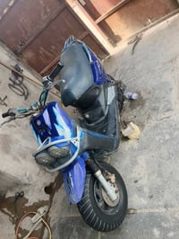 جبلية • مكفولة • بصرة