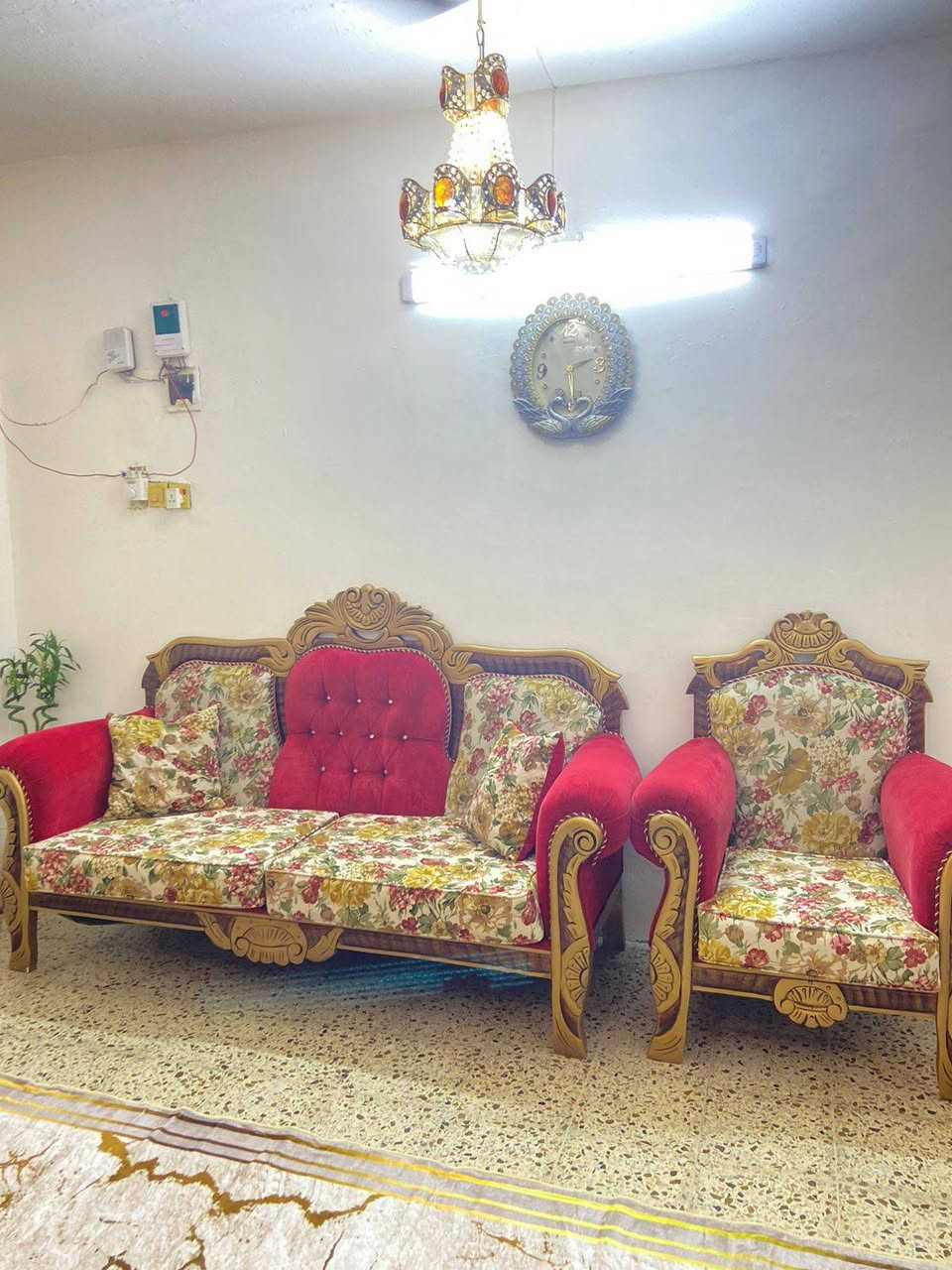 السلام عليكم تخم جديد للبيع واتساب ***********الحريه دولعي
