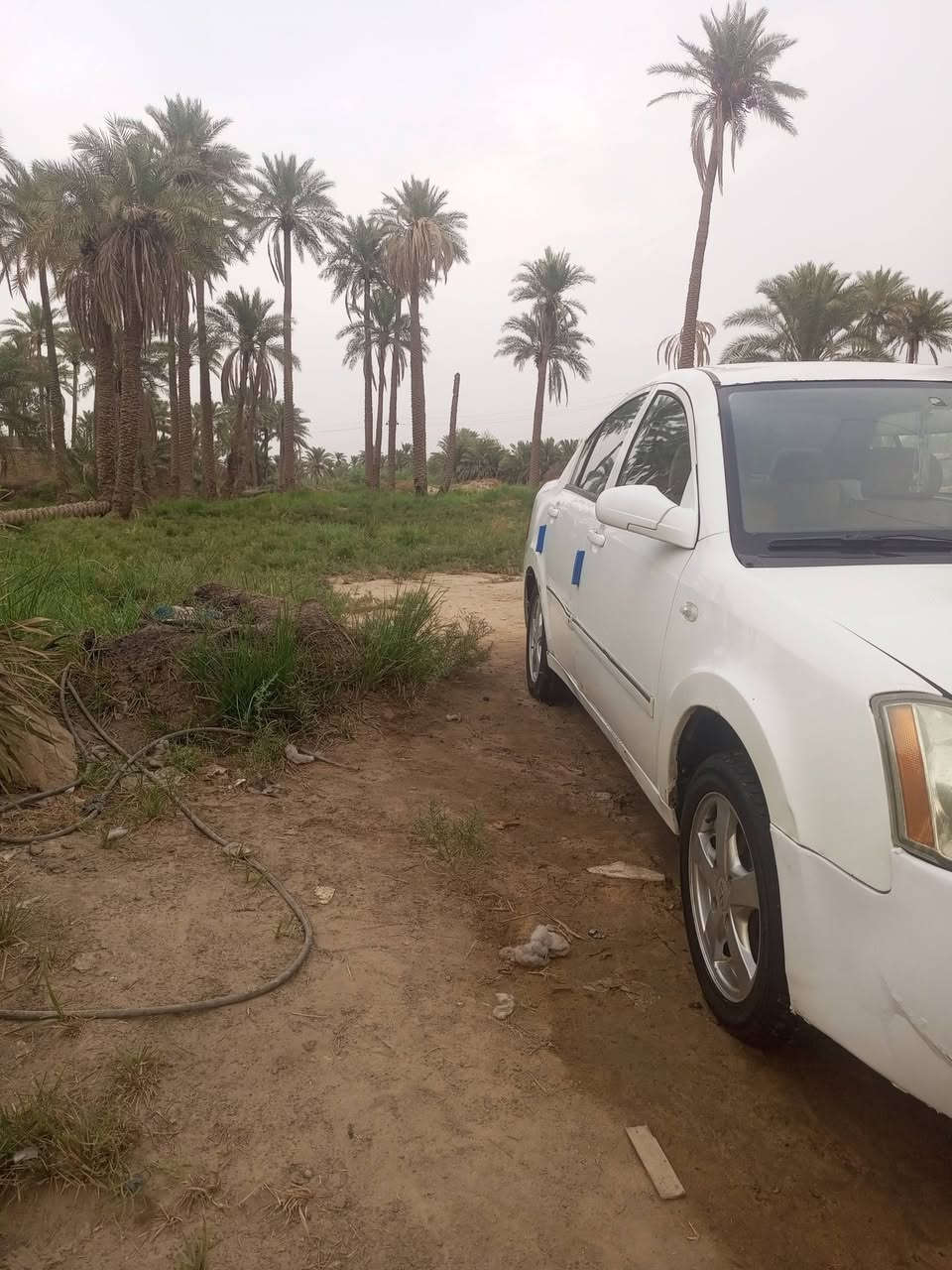 سلام عليكم شيري اي فايف موديل 9 سيارة جاهزه حداديه وكير وتخم تاير وباتري مكينه تبريد بس راديتر سنويه ل 27 مشروع وطني بيع لو مراوس السعر 30 بيهه مجال لشراي  مكان دوانيه  الراقم ***********
