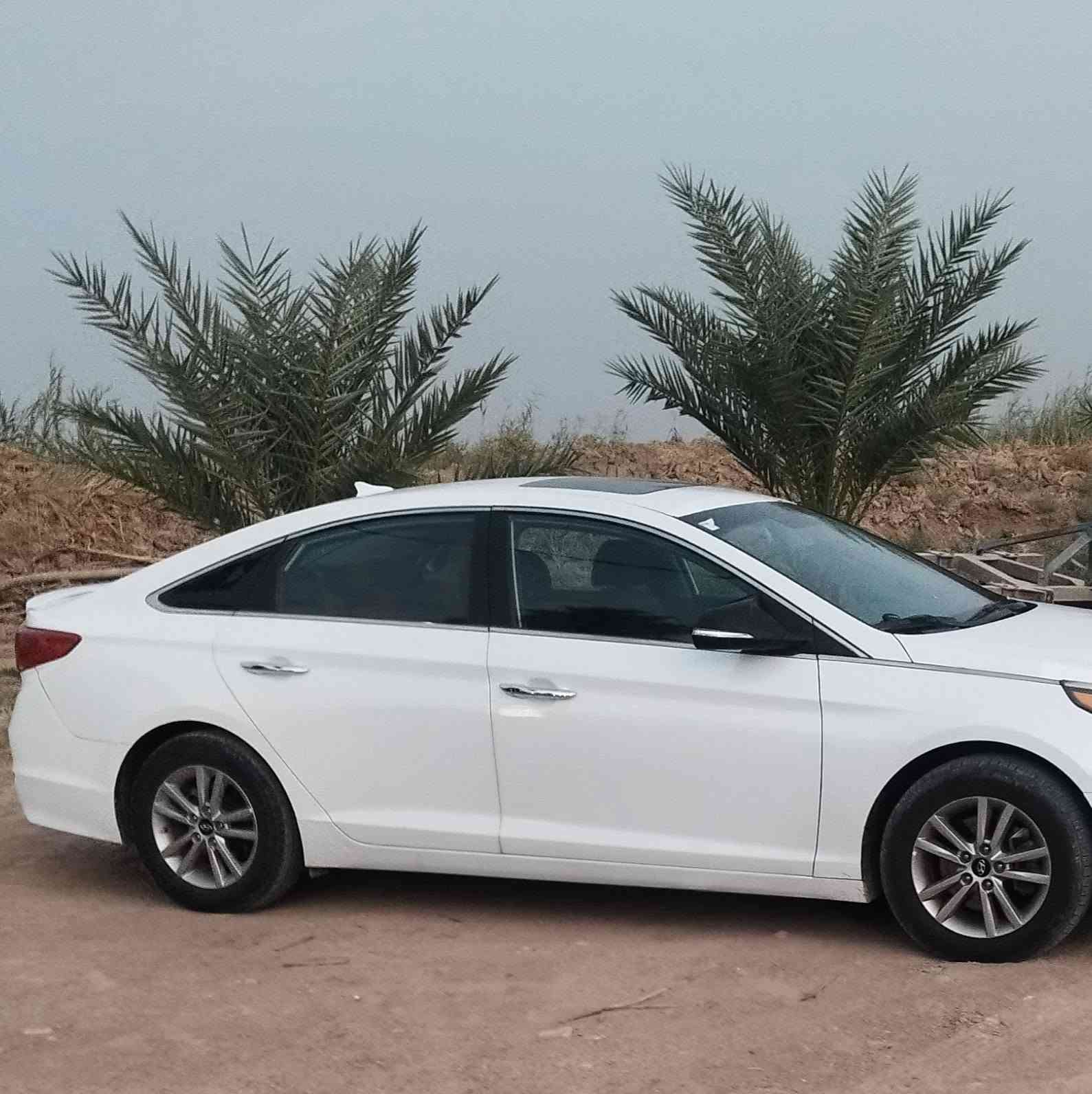 سوناتا • ٢٠١٧ • رقم شمالي
