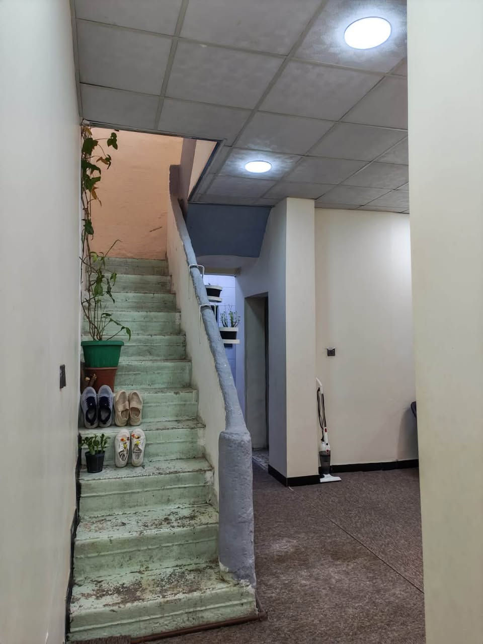 السباع • ١٠٠م • غرفتين