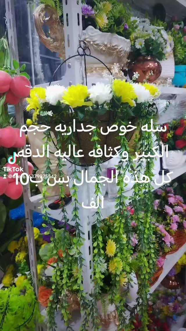 سلة خوص • حجم كبير • جدارية