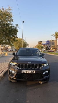 ليمتد • ٢٠٢٣ • بدون صبغ
