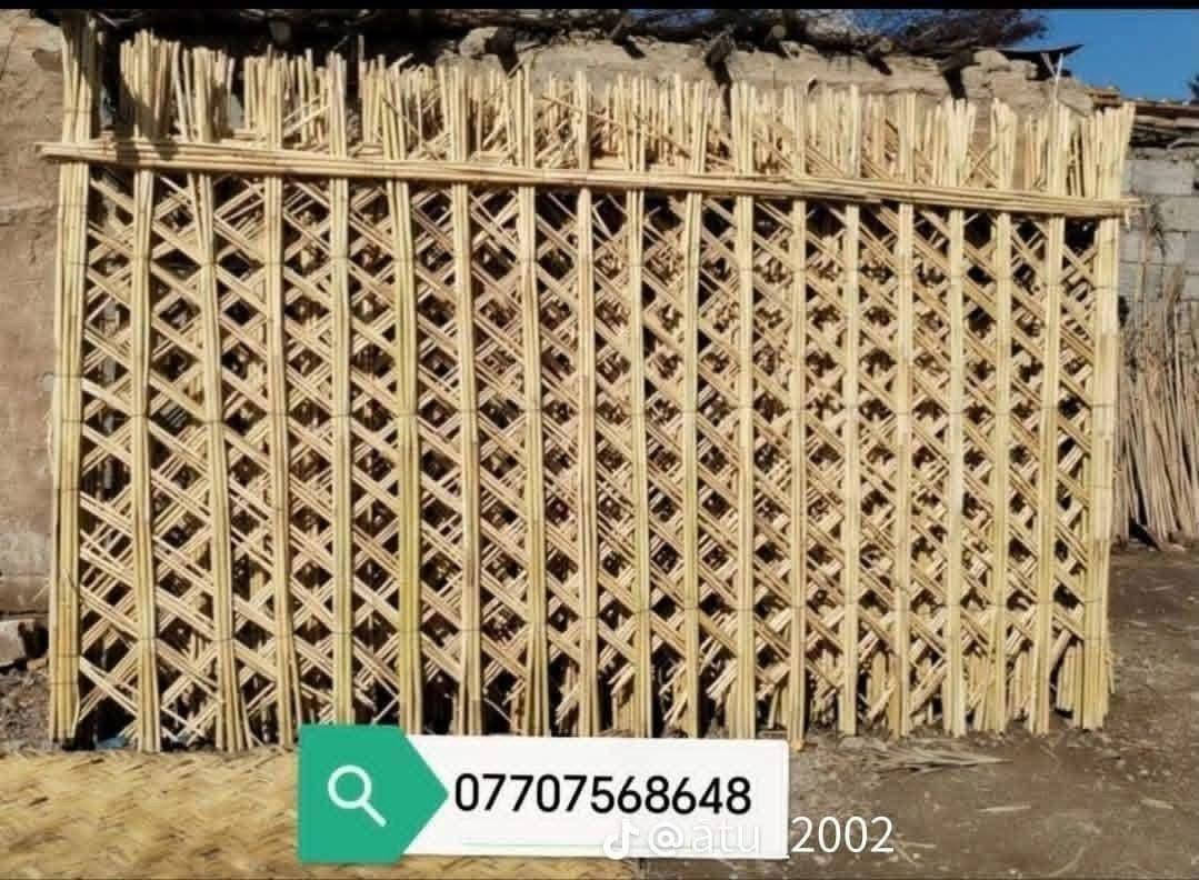 السلام عليكم ورحمة *********** يوجد تخومة من جريد النخل كراسي وكرويتات ام نفر وانفرين شغل درجة اولة ويوجد قطع اسياجات مال حدايق ويوجد باريه مال تسكيف حقل غرف حدايق مضايف دواوين تغليف اسياج تغليف خزان تنطي عازل برودة تغليف اسياج بي ارسي تغليف قواطع ديكورات مطاعم ديكورات كوفيات هاذ التراث العراقي الجميل ويوجد خيزران مال رايات درجه اولى الطول ٦ أمتار مكاني بغداد وهاذ رقمي *********** ويوجد توصيل

نص مكتوب في الصور:
- ***********
- @atu_2002 ***********
- *********** @aitu_2002
- جدران الطول 3 متر والعرض 2 متر ***********
- ***********