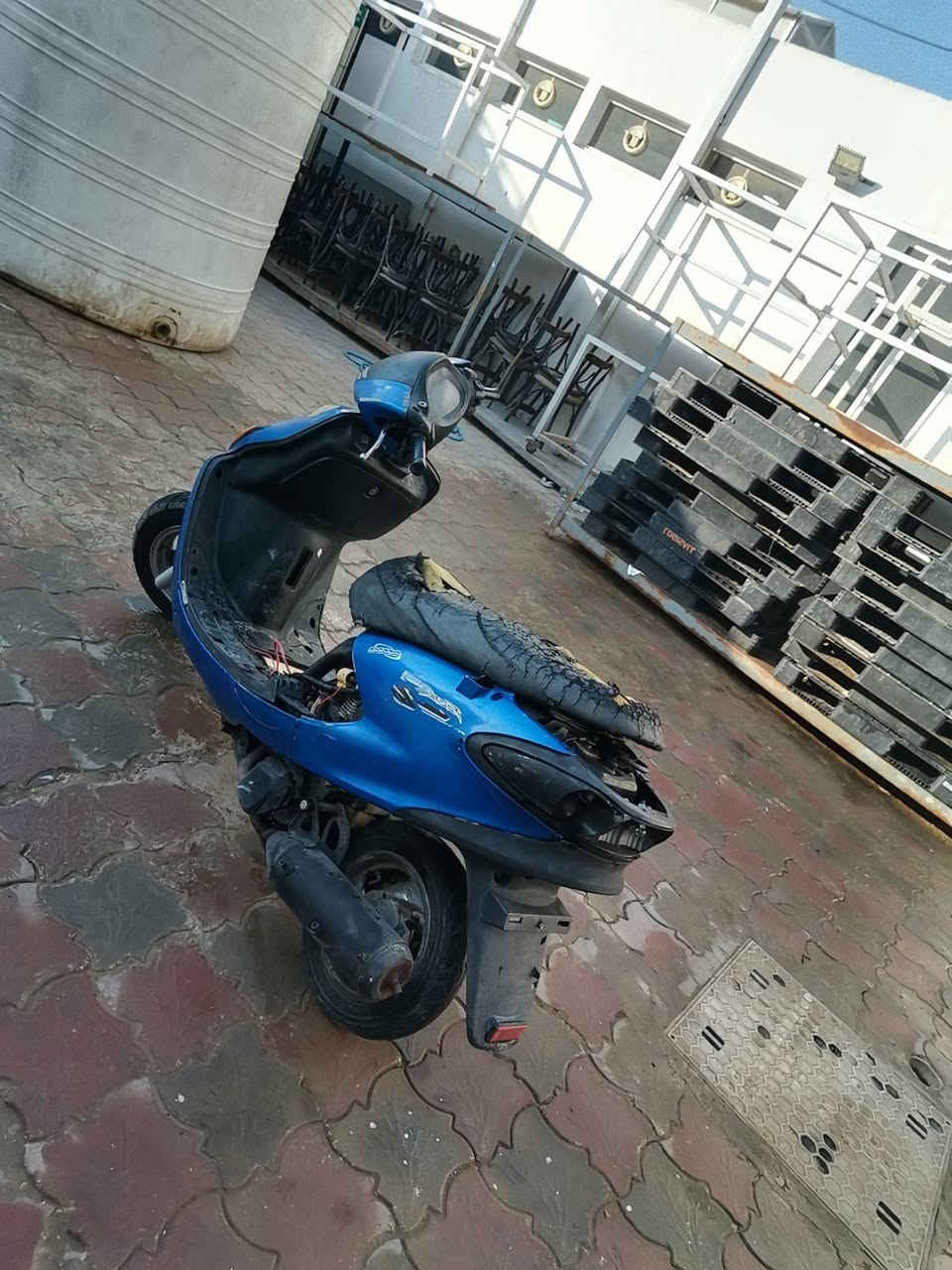 دولفين • شغاله • مراوس بموبايل