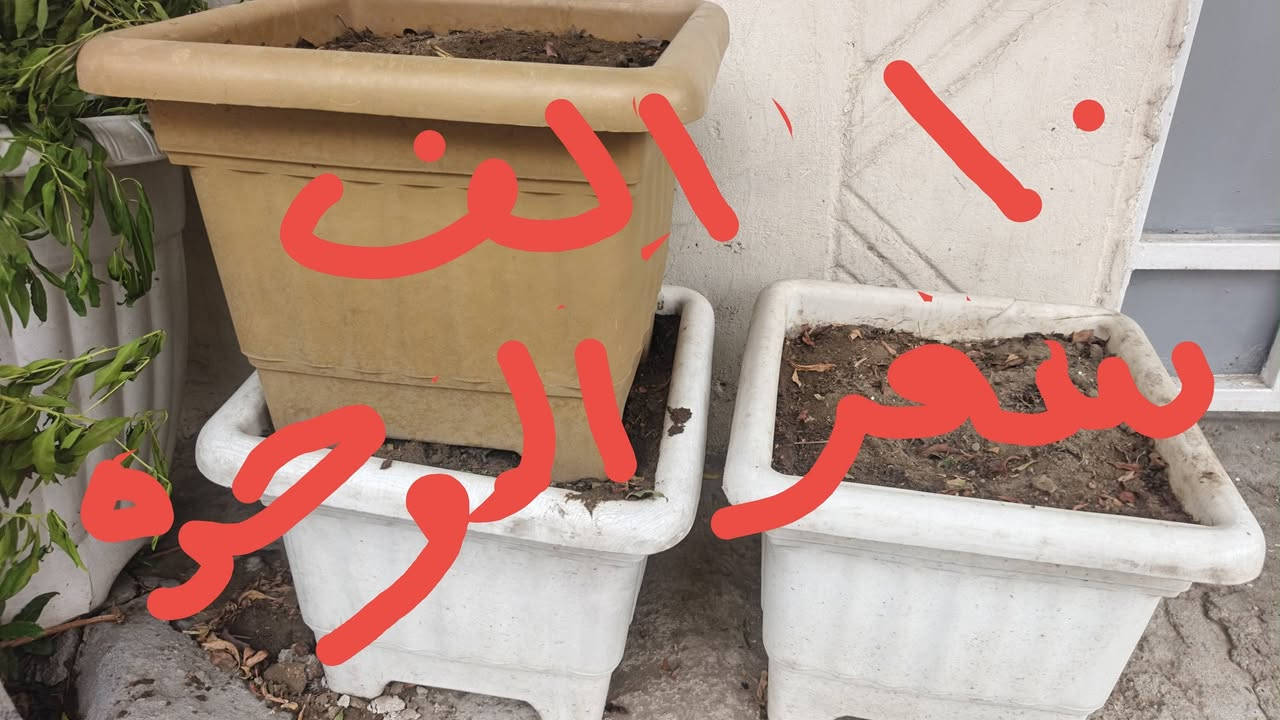 مكتوب بالصور • رقم تواصل • بدون تفاصيل
