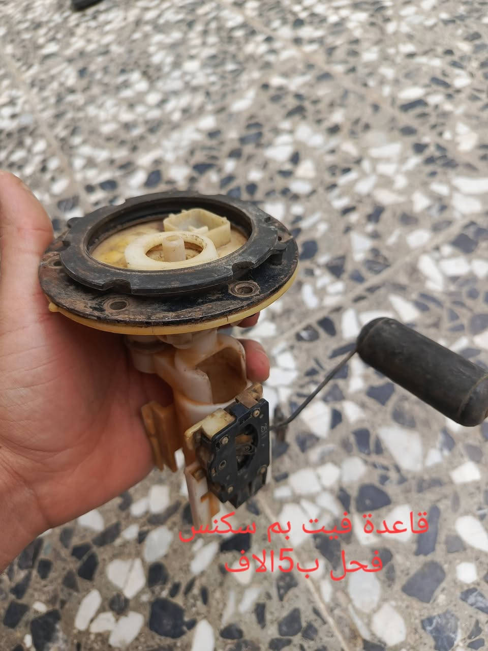 دراجة سكنس • محرك كامل • الشعلة