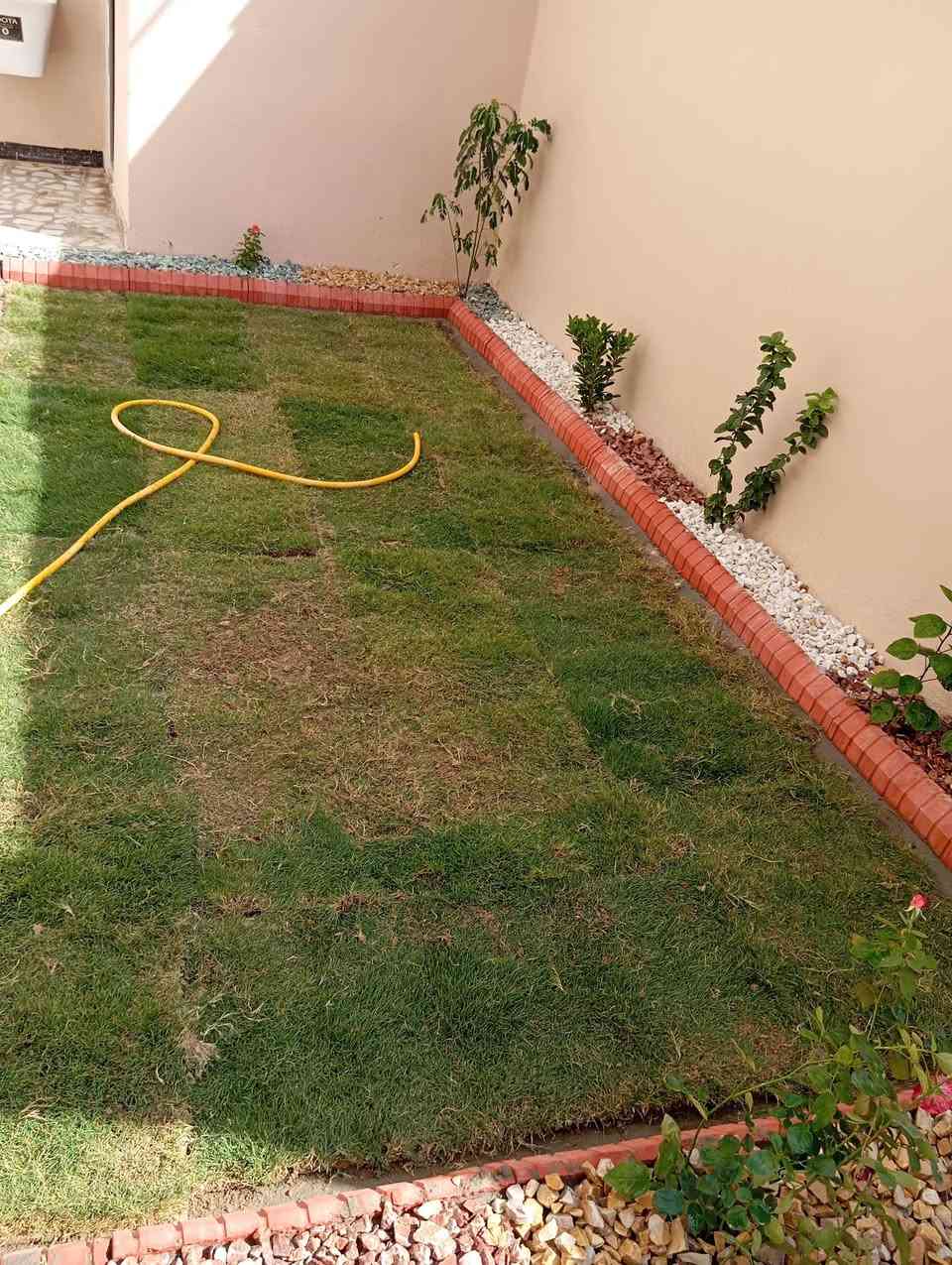 هندسة حدائق • زراعة ثيل ونخيل • قص أشجار