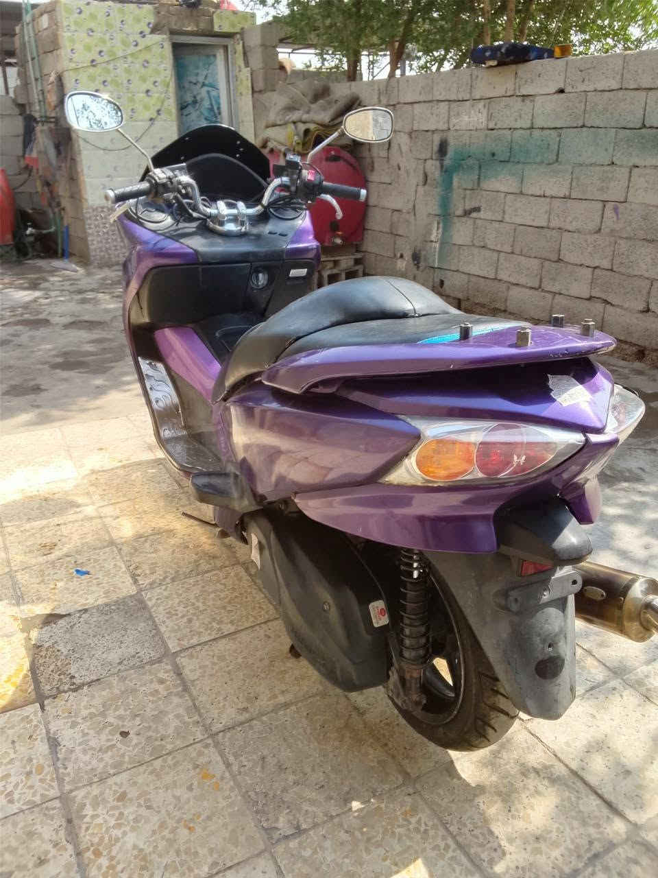فورزا • شغاله • ابو رمانه