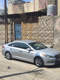 سوناته • ٢٠١٥ • وارد أمريكي