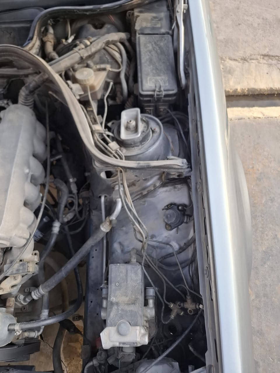 سلام عليكم 
مارسدس دب موديل 89
سياره بدون قطره جاكوج 
صبغ جماليه فقط سياره جاهزه من دعاميه للدعاميه
كير محرك بطه2500
تبريد ثلج 
تايرات وياله جديد شادهم 
جام كهرباء +سنتر لوك 
لايتات زينون 
قاعده دبل سليمات لا تصليح ولا خياس 
صدر امامي خلفي جديد 
كهربائيات كله شغاله 
اي استفسات رقمي***********
