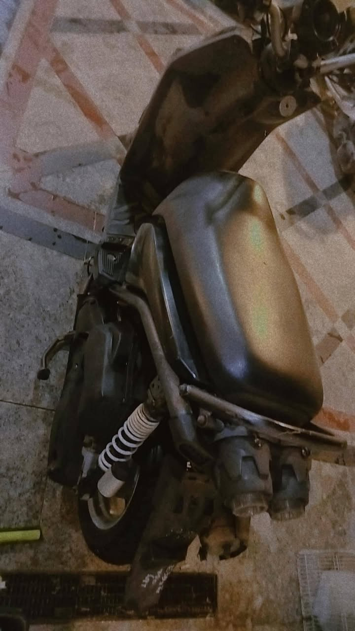 سكنس جبلي • حاوية • مكفوله
